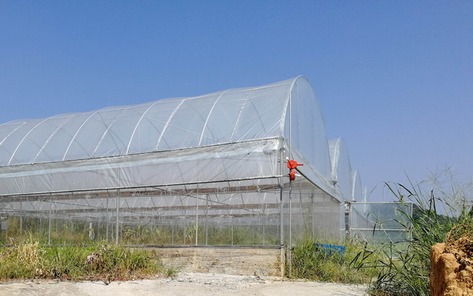 廣東茂名荔鄉農牧大棚智能系統