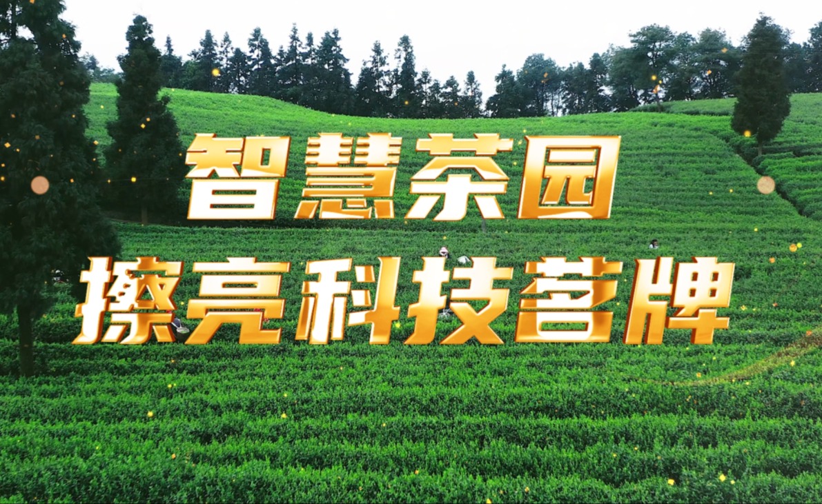 今年會jinnianhui智慧茶園，擦亮科技茗牌