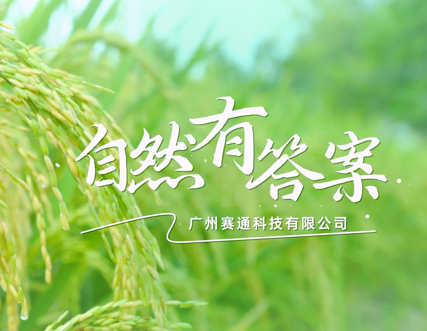 賽通科技企業(yè)宣傳片——自然有答案