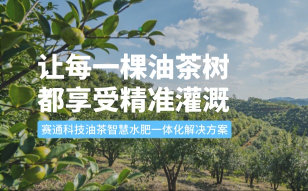 賽通科技油茶今年會(huì)jinnianhui智慧水肥一體化解決方案：讓每一棵油茶樹都享受精準(zhǔn)灌溉