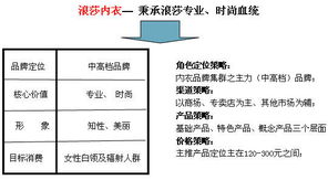中國(guó)浪莎紅 浪莎內(nèi)裝戰(zhàn)略營(yíng)銷策劃與企業(yè)形象策劃方案